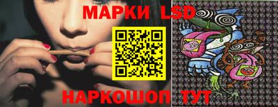 прущие грибы Ставрополь