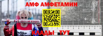 прущие грибы Ставрополь